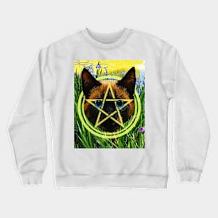 The Ace of Pentacles Crewneck Sweatshirt